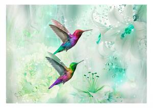 Fototapeta - Barevní kolibříci (zelení) 250x175 + zdarma lepidlo