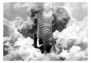 Fototapeta - Slon v oblacích (černobílý) 300x210 + zdarma lepidlo
