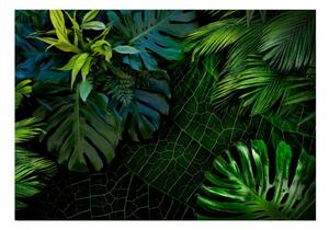 Fototapeta - Temná džungle 200x140 + zdarma lepidlo