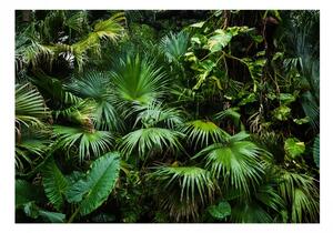 Fototapeta - Slunečná džungle 250x175 + zdarma lepidlo