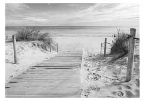 Samolepící fototapeta - Na pláži - černobíle 98x70