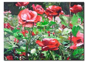 Obraz Růžová zahrada v létě (1 díl) - květinový motiv s přírodou a listy