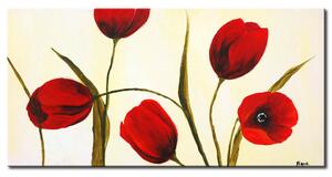 Obraz Jarní tulipány (1-dílný) - červené květy na krémovém pozadí