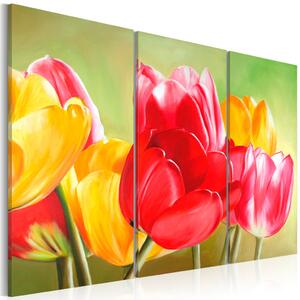 Obraz Znovu rozkvetly tulipány (3-dílný) - barevné květy na zeleném pozadí