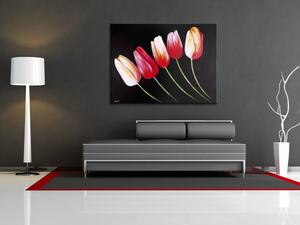 Obraz Tajemské tulipány