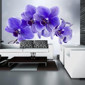 Samolepící fototapeta - Rozloučení s květy orchideje 245x175