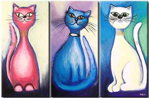 Obraz Kočičí příběhy (3dílný) - zábavný motiv s pestrobarevnými kočkami