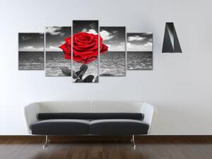 Obraz Květiny lásky (5-dílný) - červená růže na pozadí šedého moře