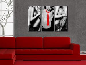 Obraz Sensualita (3-dílný) - erotika s motivem ženy a muže