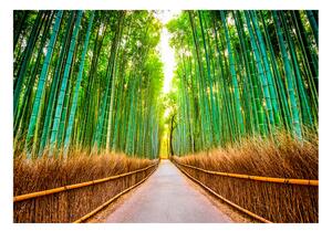 Samolepící fototapeta - Bambusový les 98x70
