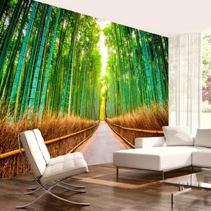 Samolepící fototapeta - Bambusový les 147x105