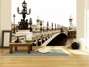 Fototapeta Městská architektura Paříže - slavný most Alexandra III v sepii