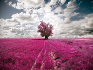 Fototapeta Fuchsia łąka - pole květin s stromem a oblohou se šmouhami