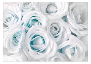 Samolepící fototapeta - Saténová růže (tyrkysová) 98x70