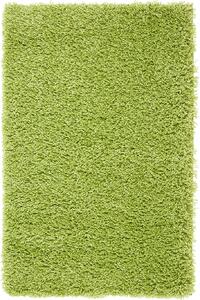 KARAT Kusový zelený koberec Bono 8600-61 Rozměry: 80 x 150