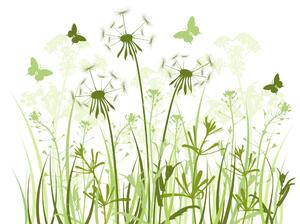 Fototapeta Pampelišky a motýli - minimalistický rostlinný motiv na světlém pozadí