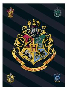 DĚTSKÁ FLEECOVÁ DEKA HARRY POTTER 100X140 CM VZOROVANÁ