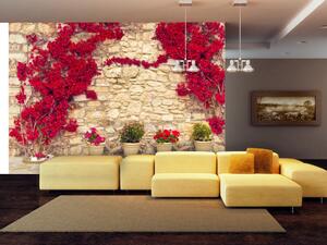 Fototapeta Teplé odpoledne - vzor s kamennou zdí a červeným břečťanem
