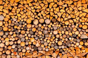 Fototapeta Dřevěné polena - vzor překročených posekaných kmenů stromů do krbu