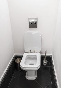 Kerasan Kerasan WALDORF WC sedátko, Soft Close, bílá/chrom