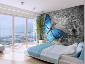 Fototapeta Svět hmyzu - krásný modrý motýl na pozadí šedé retro kresby