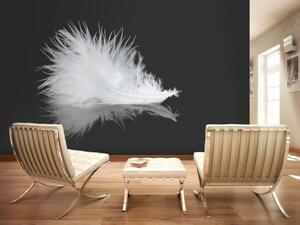 Fototapeta White feather