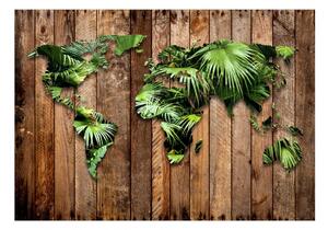 Samolepící fototapeta - Džungle světa 98x70