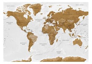 Samolepící fototapeta - Mapa světa: Bílé oceány 147x105