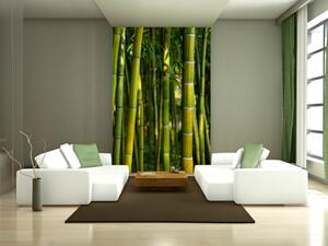 Fototapeta Orient - asijský motiv s makrem na listech a bambusech