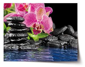 Plakát SABLIO - Orchidej na kamenech 90x60 cm