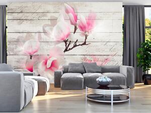 Fototapeta Jemnost magnolie - růžovo-bílý květ na pozadí prken bílého dřeva