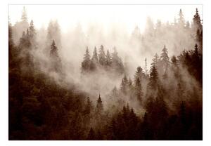 Fototapeta - Horský les (sépie) 200x140 + zdarma lepidlo