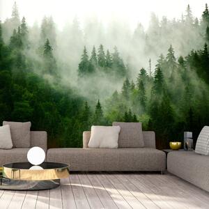 Samolepící fototapeta - Horský les (zelená) 98x70