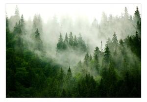 Fototapeta - Horský les (zelená) 200x140 + zdarma lepidlo