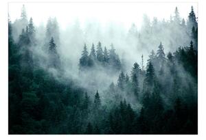 Fototapeta - Horský les (tmavě zelená) 200x140 + zdarma lepidlo