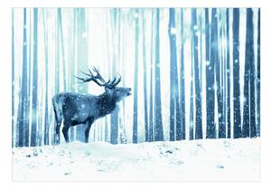 Samolepící fototapeta - Jelen na sněhu (modrý) 392x280