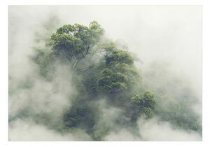 Fototapeta - Mlžná Amazonka 250x175 + zdarma lepidlo