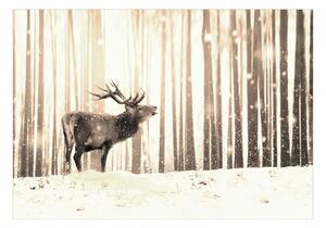 Fototapeta - Jelen na sněhu (sépie) 250x175 + zdarma lepidlo