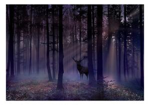 Samolepící fototapeta - Mystický les V 98x70