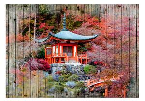 Samolepící fototapeta - Podzimní Japonsko 245x175
