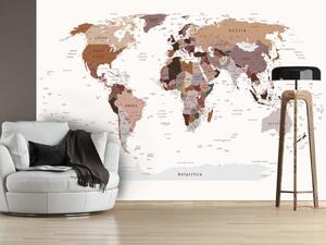 Fototapeta Lekce zeměpisu - mapa světa v neutrálních barvách v angličtině