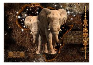 Samolepící fototapeta - Hnědí sloni 245x175