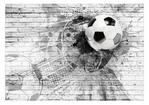 Fototapeta - Dynamický fotbal 250x175 + zdarma lepidlo