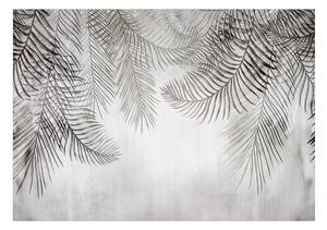 Samolepící fototapeta - Noční palmy 98x70