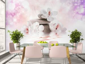 Fototapeta Orient - motiv květů magnolie se zen kameny na fialovém pozadí