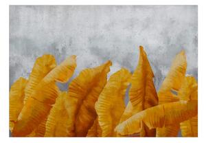 Fototapeta - Banánové listy 250x175 + zdarma lepidlo
