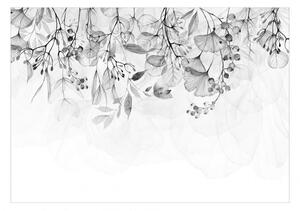 Fototapeta - Mlžná příroda - šedá 250x175 + zdarma lepidlo