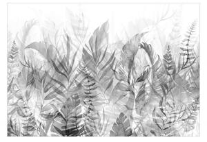 Fototapeta - Kouzelný háj - černobílý 250x175 + zdarma lepidlo