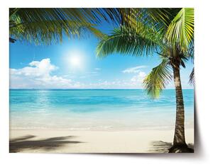 Sablio Plakát Pláž s palmami - 60x40 cm