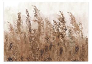 Samolepící fototapeta - Vysoké trávy - hnědé 98x70